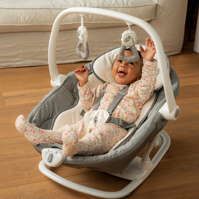 Joie Emeri 2-in-1 Baby Swing and Rocker Fern